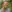 Foto Lucie Bender